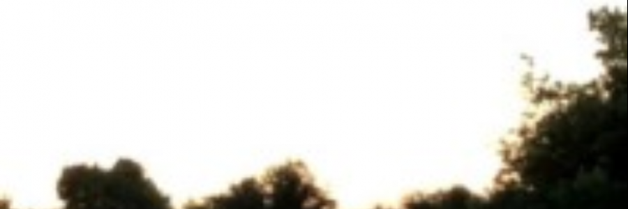 Cover image for post My book launched yesterday! Some said:, by REllyn