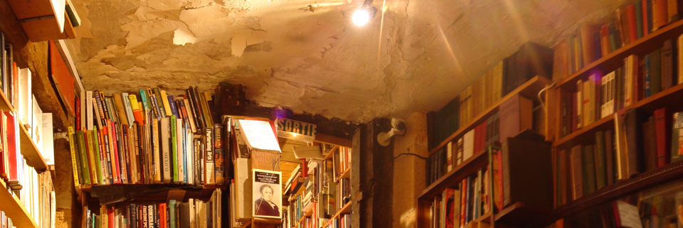 Cover image for post Accent of Desire, by SFG137