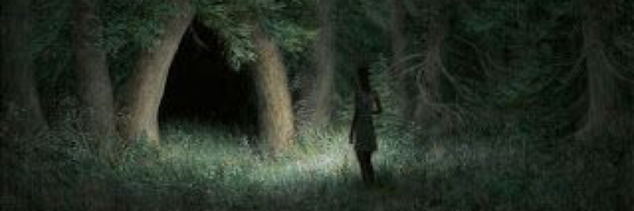 Cover image for post Running Casual, by jlroberts