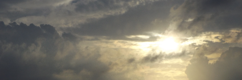 Cover image for post Now I See, by MaggieRodriguez