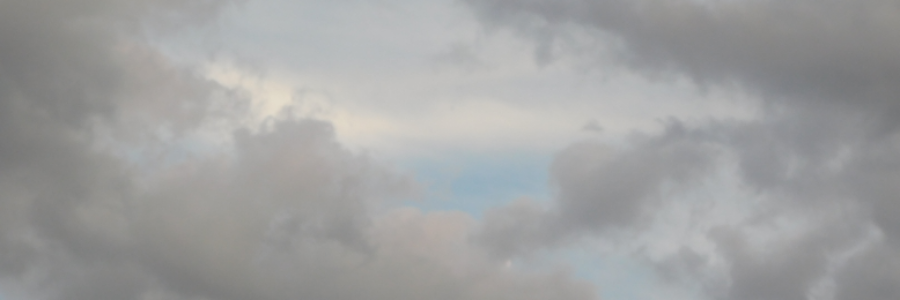 Cover image for post I Am A Disgrace, by LexiCon