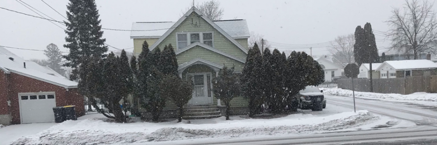 Cover image for post Iris Blossoms, by Mtrubenfire