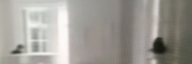 Cover image for post Why are we Harsh with Those we Love, by Alyschoon