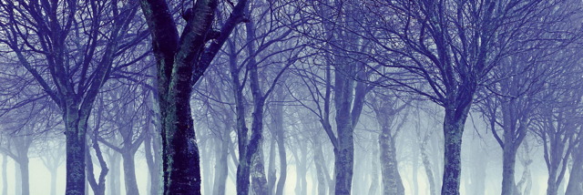 Cover image for post I'm Sorry, by Randomthoughts