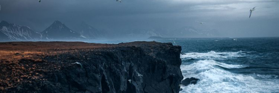 Cover image for post the delicate art of walking a line~, by elrae