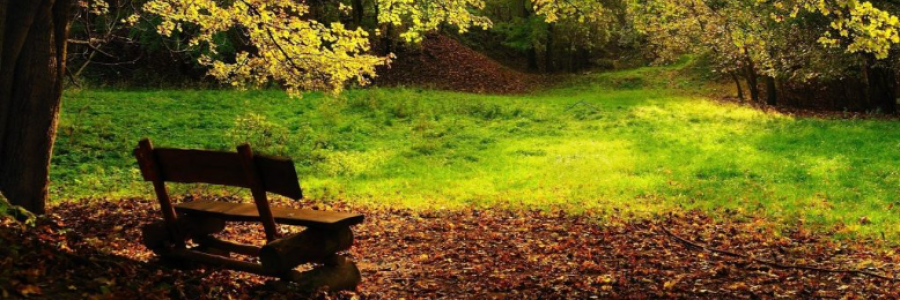 Cover image for post Have You Ever Noticed, by Danceinsilence