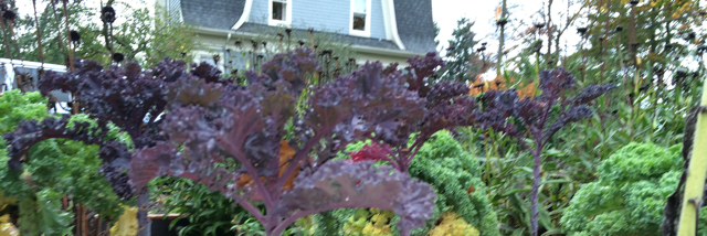 Cover image for post well..., by paintingflowers