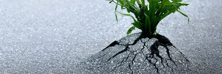 Cover image for post Pondering Persistence, by ISO