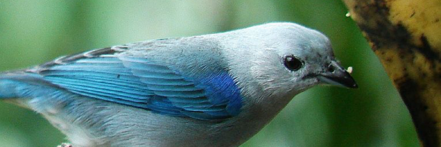 Cover image for post Untitled, by JessConnor