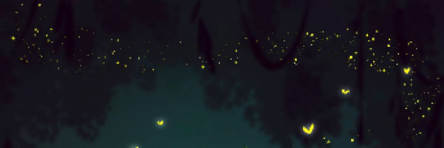 Cover image for post Quietly & Patiently, by Mnezz