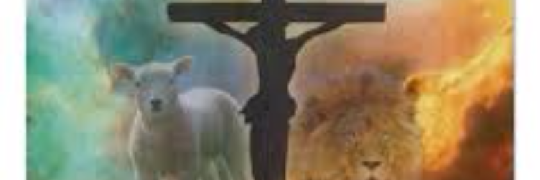 Cover image for post lamb to Lion, by wordSwork