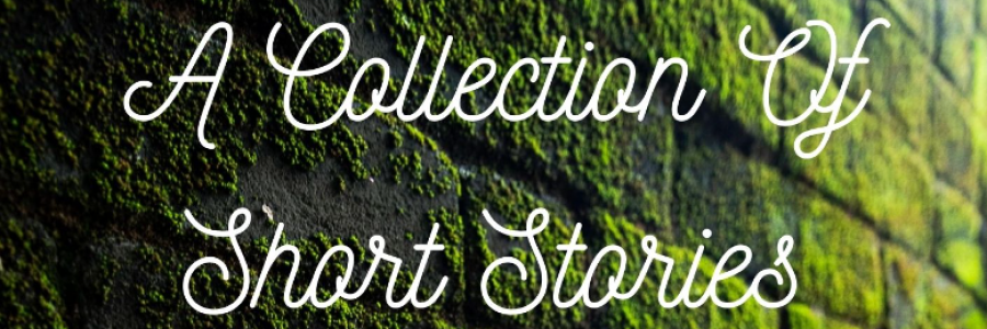 Cover image for post Next Project!, by VictoriaBowman