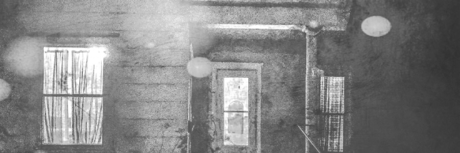 Cover image for post "WHAT ARE YOU GOING TO DO WITH THAT?", by EcosophicalPage