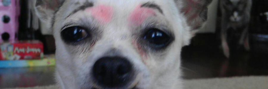 Cover image for post A twinkle in your eye, by Plexiglassfruit