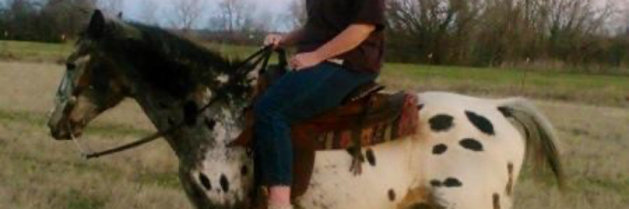 Cover image for post Manyhorses, by Vyxyn