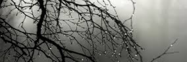 Cover image for post Music Of My Sweet Agony, by Randomthoughts