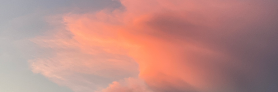 Cover image for post Home?, by LucyMontana