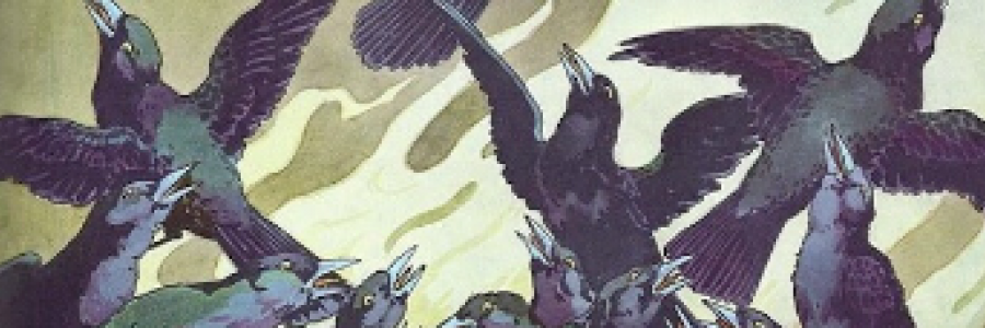 Cover image for post (MAG)PIE, by Mnezz