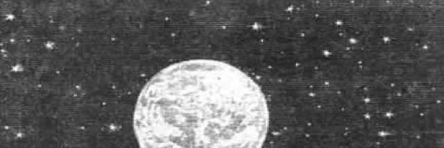 Cover image for post Cigarette Burns, by EliseWhitehorn