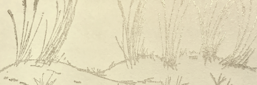 Cover image for post Haiku for Diana of the Dunes, by EcosophicalPage