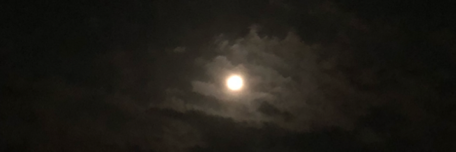 Cover image for post Tunnel Vision, by m00nheart