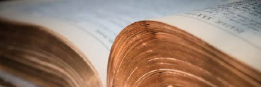 Cover image for post Judges 6:39 - Boost For A Dude Needing Reassurance, As In Me (Bible Journal), by Roses311Sublime