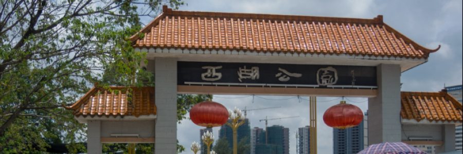 Cover image for post Will He Love Me?, by LoneGirl