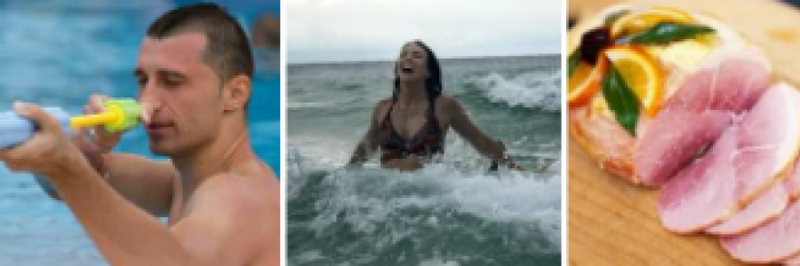 Cover image for post A Hammy Interruption, by Roses311Sublime