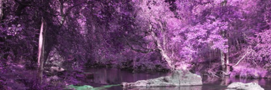 Cover image for post No Fork In the Road, by m00nheart