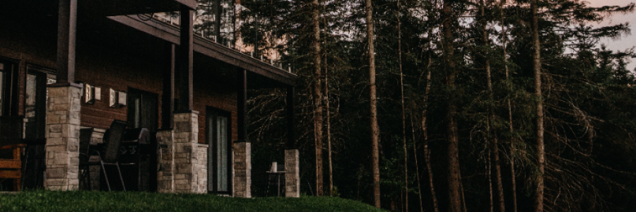 Cover image for post McKenzie: A Revenge Tale (Part I), by Chacko_Stephen