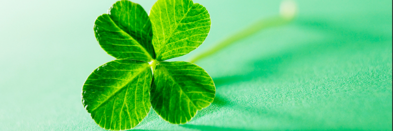 Cover image for post ~Luck~, by Newt