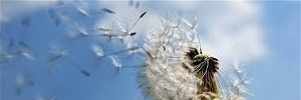 Cover image for post Leave it to Cleaver, by DaveK