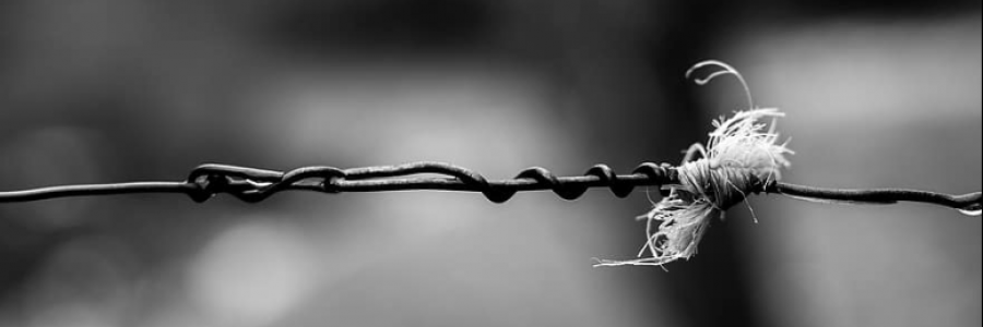 Cover image for post Entwined Hearts, by Sanjana_S