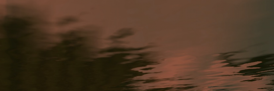 Cover image for post The grave, the wonder, by Genicida