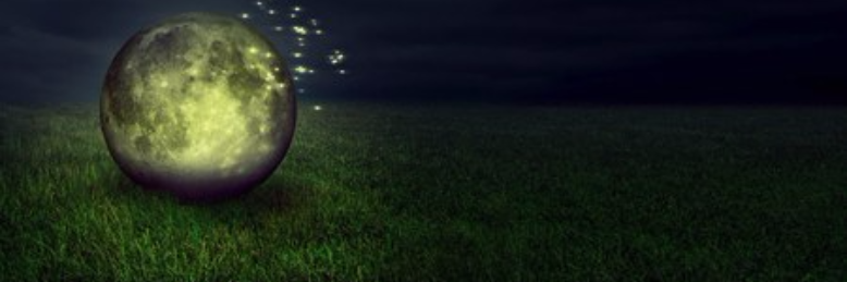 Cover image for post the Fourth Leaf, by ISO