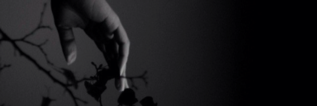 Cover image for post Red, by GraceBlack