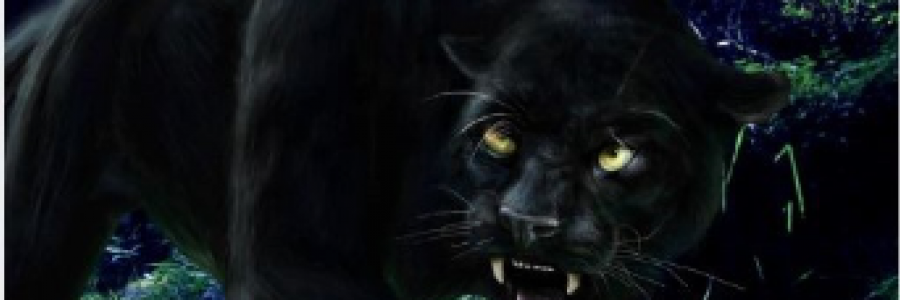 Cover image for post JIDEN, by Mnezz