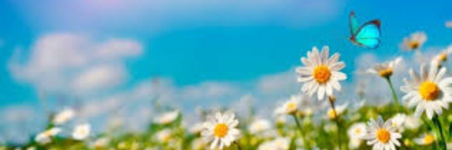 Cover image for post Life, by Kennedi85