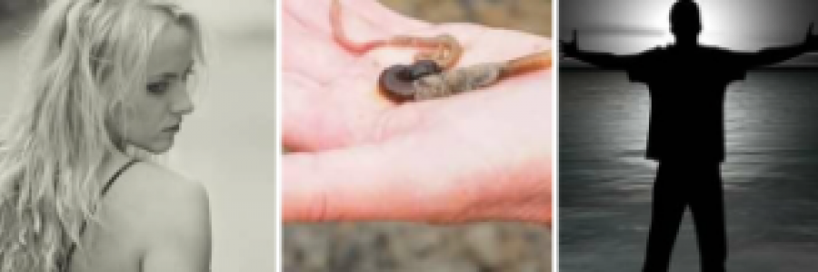 Cover image for post Leftover's Crushing Victory, by Roses311Sublime