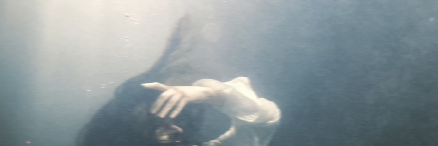 Cover image for post a toast to the bride and groom, by chloedotmay