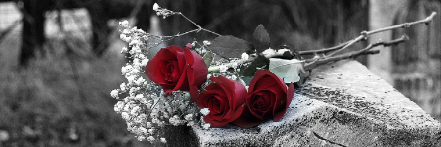 Cover image for post Such is Death, by Sanjana_S