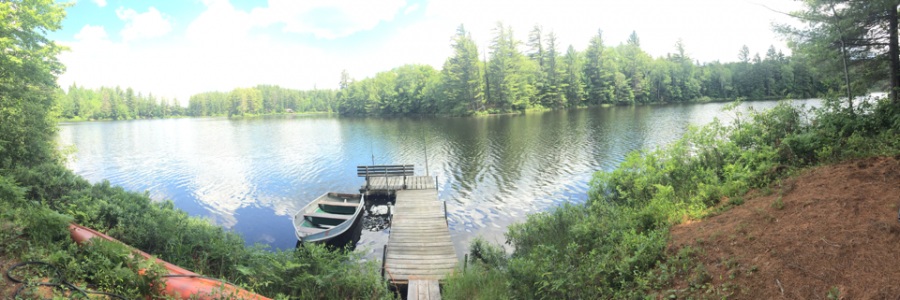 Cover image for post Take Me, by DissociatedArt