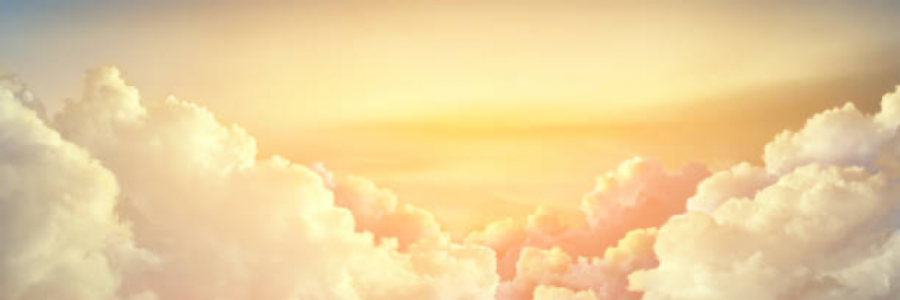 Cover image for post For Beetle, by DissociatedArt