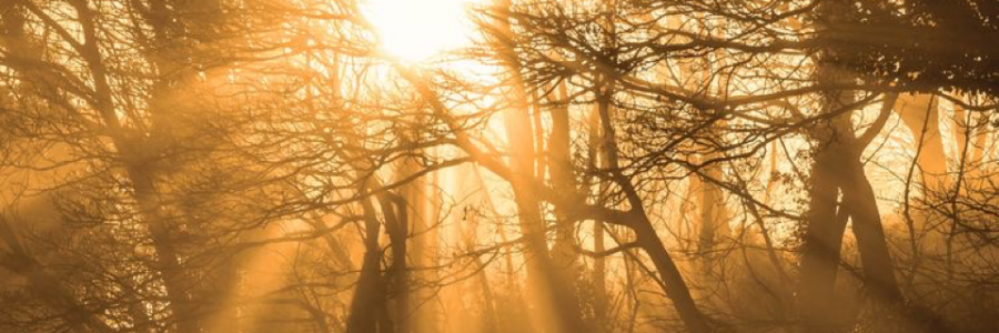 Cover image for post Untitled, by champagnekitty