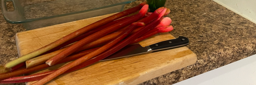 Cover image for post Lately, by bgab23