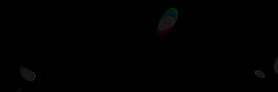 Cover image for post Little Black Rose, by MissChanelleJoy