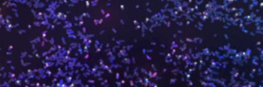 Cover image for post Indigo Dancer, by MissChanelleJoy