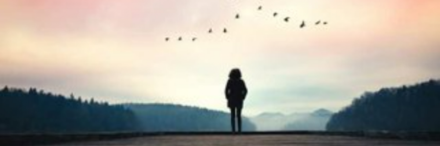 Cover image for post Reduced happiness., by Laveenya