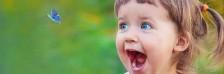 Cover image for post My Blue Butterfly, by Sanjana_S