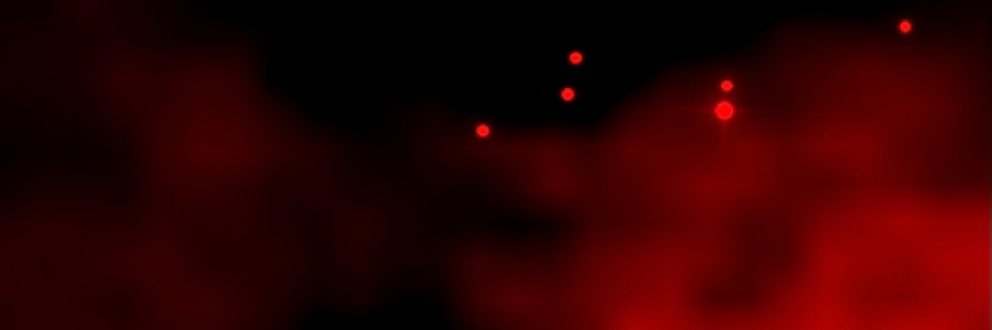 Cover image for post Untitled, by MissChanelleJoy